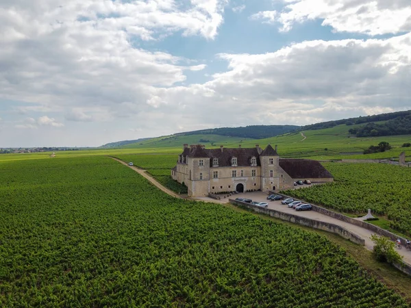 Yeşil Grand Cru Fransa Nın Burgundy Bölgesinde Kırmızı Beyaz Burgundy — Stok fotoğraf