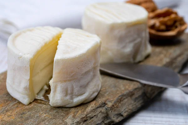 チーズコレクション ロワール渓谷で生産されたモルドクロッティン シャヴィニョールのソフトヤギフランスチーズをクローズアップ — ストック写真