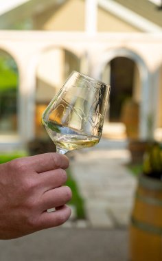 Şarap, şarap, şarap turizmi Fransa 'nın Burgundy Cote de Beaune şarap bölgesine şarap tadında pahalı bir şarap tatmak.