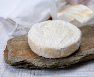 Peynir koleksiyonu, taze, yumuşak inek peyniri, İsviçre küflü, yakın plan.