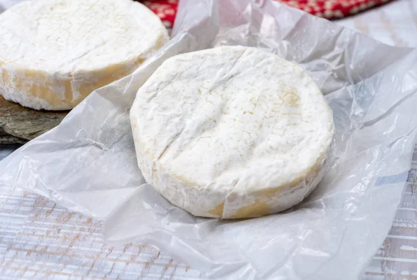 Peynir koleksiyonu, taze, yumuşak inek peyniri, İsviçre küflü, yakın plan.