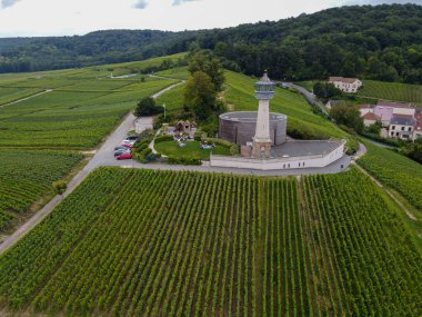 Deniz feneri manzarası ve yeşil pinot noir Grand cru üzüm bağları Montagne de Reims yakınlarındaki ünlü şampanya evleri, şampanya, Fransa 'da şarap yapımı