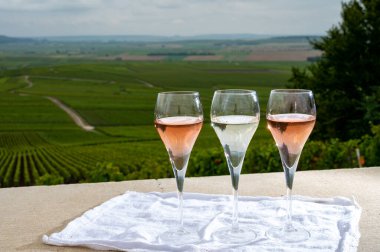 Verzenay yakınlarındaki Montagne de Reims 'in yeşil Grand Cru üzüm bağlarına şarap ve gül rengi şarap ve manzara.