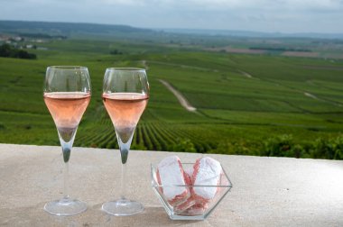 Reims 'in sembolleri, güllük gülistanlık şampanya şarabı ve gül bisküvileri ve yeşil pinot noir Grand Cru üzüm bağları Montagne de Reims' deki ünlü şampanya evi Verzenay, Champagne, France yakınlarındaki