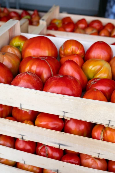 Saboroso Grandes Tomates Franceses Maduros Caixas Madeira Mercado Agricultores Provença — Fotografia de Stock