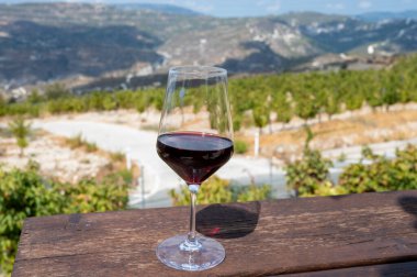 Wine industry of Cyprus island, tasting of red dry wine on winery with view on vineyards and south slopes of Troodos mountain range in sunny day clipart