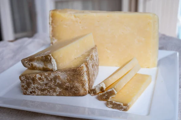 Коллекция Сыра Твердый Французский Сыр Старый Кантальный Фермер Сырого Коровьего — стоковое фото