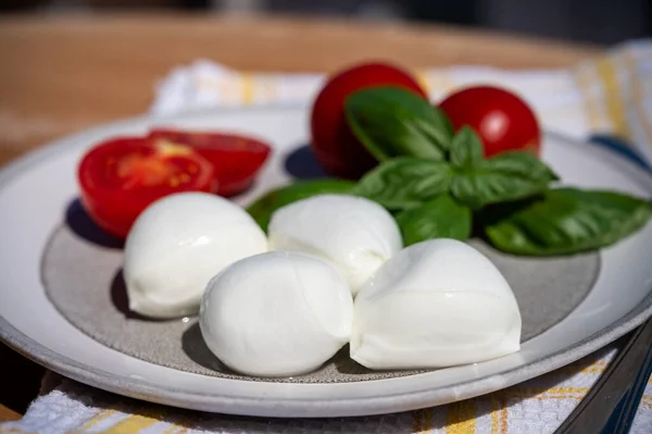 Kolekcja Serów Białe Kulki Włoskiego Sera Miękkiego Mozzarella Serwowane Świeżymi — Zdjęcie stockowe