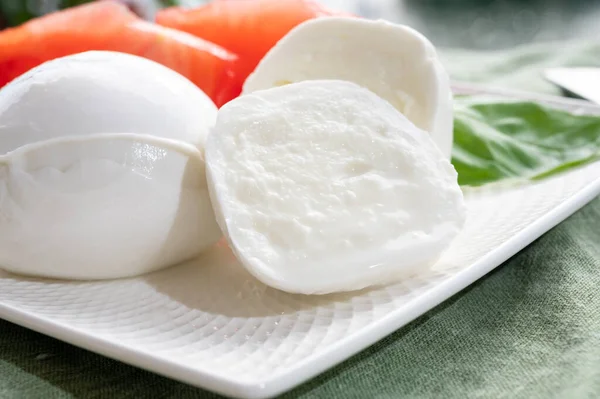 Coleção Queijos Bolas Queijo Fresco Italiano Mozzarella Bufal Campana Servido — Fotografia de Stock