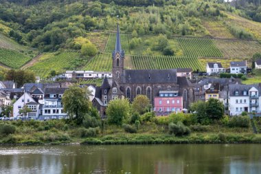 Almanya 'da Bullay ortaçağ köyünün Moselle nehri kıyısındaki teraslı üzüm bağları ve eski evlerin manzarası