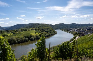 İtalyan Rodez sert peyniri çiğ inek sütüyle üretilir, 6 ay olgunlaşır, İtalya 'da peynir tadılır.