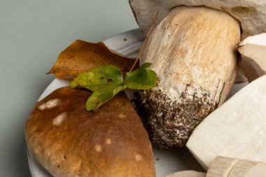 Gastronomik gıda, Boletus edulis, cepe, yaban domuzu mantarı temizlenmiş, ormandan lezzetli vejetaryen yiyecekler, Fransız mutfağı ve İtalyan mutfağı için malzemeler, makarna, risotto, yakın plan çorbası.