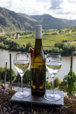 Alman kaliteli beyaz şarap riesling, Mosel şarap bölgesi, Avrupa 'nın en dik Calmont Klettersteig üzüm bağında büyüyen beyaz üzümler, Bremm ve Ediger-Eller, Almanya yakınlarındaki bardaklar ve şişe,