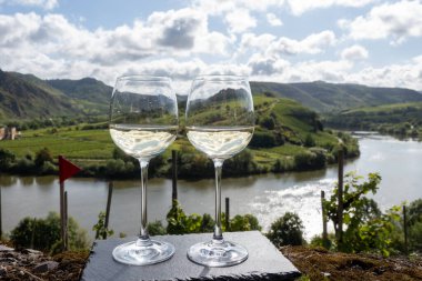 Alman kaliteli beyaz şarap riesling, Mosel şarap bölgesi, Avrupa 'nın en dik Calmont Klettersteig bağında büyüyen beyaz üzümler, Bremm ve Ediger-Eller, Almanya yakınlarındaki iki bardak