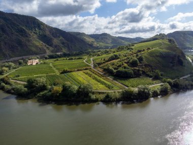 Üzüm bağları, ormanlar, Calmont bölgesinde hasat zamanı Avrupa 'nın en dik üzüm bağı Moselle Nehri vadisinde, açık hava aktiviteleri, Almanya' da yürüyüş ve tırmanma, Bremm kasabası yakınlarında seyahat yeri