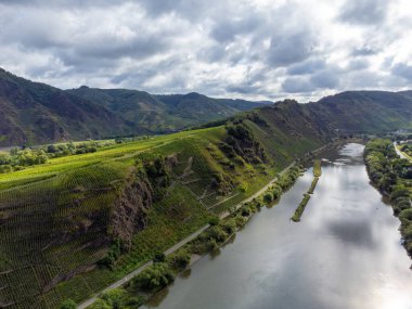 Üzüm bağları, ormanlar, Calmont bölgesinde hasat zamanı Avrupa 'nın en dik üzüm bağı Moselle Nehri vadisinde, açık hava aktiviteleri, Almanya' da yürüyüş ve tırmanma, Bremm kasabası yakınlarında seyahat yeri