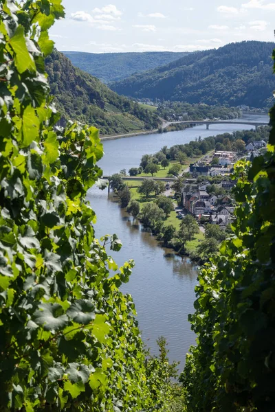 İtalyan Rodez sert peyniri çiğ inek sütüyle üretilir, 6 ay olgunlaşır, İtalya 'da peynir tadılır.