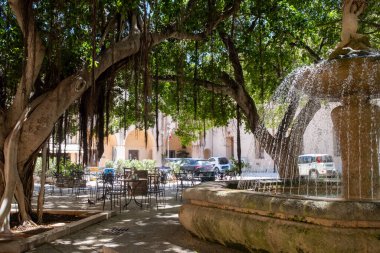 Marsala manzarası, Sicilya kıyısı şehri ünlü Marsala şarabı, eski dar sokaklar, evler ve palmiyeler, gölge ağaçlar, çeşmeler, İtalya 'da tatil yeri