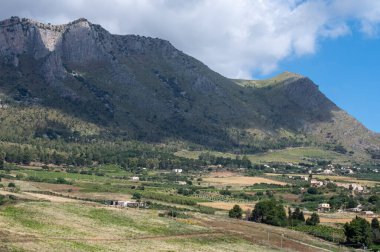 Sicilya 'daki Palermo-Trapani otoyolunun yeşil tepelerinde üzüm bağları ve zeytinlikleri var.