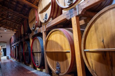 Eski büyük meşe fıçılarıyla şarap mahzeni ziyareti, Marsala, Sicilya 'da güçlendirilmiş kuru veya tatlı marsala şarabı üretimi, İtalya' da şarap endüstrisi