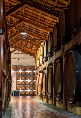 Eski büyük meşe fıçılarıyla şarap mahzeni ziyareti, Marsala, Sicilya 'da güçlendirilmiş kuru veya tatlı marsala şarabı üretimi, İtalya' da şarap endüstrisi