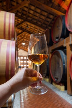 Eski büyük meşe fıçılarıyla şarap mahzenini ziyaret etmek, Marsala, Sicilya, İtalya ve şarap endüstrisindeki varillerden alınmış bir bardak güçlendirilmiş veya lezzetli marsala şarabı.