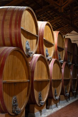 Eski büyük meşe fıçılarıyla şarap mahzeni ziyareti, Marsala, Sicilya 'da güçlendirilmiş kuru veya tatlı marsala şarabı üretimi, İtalya' da şarap endüstrisi