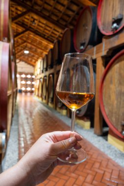 Eski büyük meşe fıçılarıyla şarap mahzenini ziyaret etmek, Marsala, Sicilya, İtalya ve şarap endüstrisindeki varillerden alınmış bir bardak güçlendirilmiş veya lezzetli marsala şarabı.