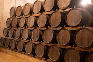 Eski büyük meşe fıçılarıyla şarap mahzeni ziyareti, Marsala, Sicilya 'da güçlendirilmiş kuru veya tatlı marsala şarabı üretimi, İtalya' da şarap endüstrisi