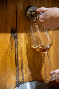 Eski büyük meşe fıçılarıyla şarap mahzenini ziyaret etmek, Marsala, Sicilya, İtalya ve şarap endüstrisindeki fıçılardan güçlendirilmiş veya tatlı marsala şarabı dökmek.