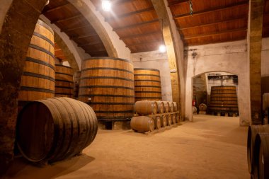 Eski büyük meşe fıçılarıyla şarap mahzeni ziyareti, Marsala, Sicilya 'da güçlendirilmiş kuru veya tatlı marsala şarabı üretimi, İtalya' da şarap endüstrisi