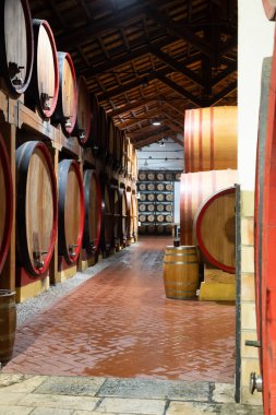 Eski büyük meşe fıçılarıyla şarap mahzeni ziyareti, Marsala, Sicilya 'da güçlendirilmiş kuru veya tatlı marsala şarabı üretimi, İtalya' da şarap endüstrisi