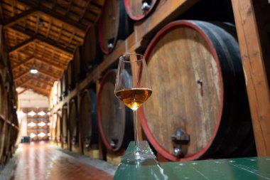 Eski büyük meşe fıçılarıyla şarap mahzenini ziyaret etmek, Marsala, Sicilya, İtalya ve şarap endüstrisindeki varillerden alınmış bir bardak güçlendirilmiş veya lezzetli marsala şarabı.