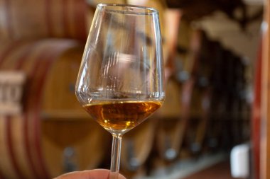 Eski büyük meşe fıçılarıyla şarap mahzeni ziyareti, el ele tutuşma, güçlendirilmiş kuru veya tatlı marsala şarabı Marsala, Sicilya, İtalya, şarap endüstrisi...