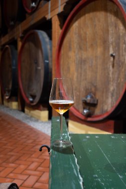 Eski büyük meşe fıçılarıyla şarap mahzenini ziyaret etmek, Marsala, Sicilya, İtalya ve şarap endüstrisindeki varillerden alınmış bir bardak güçlendirilmiş veya lezzetli marsala şarabı.