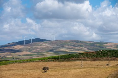 Sicilya 'daki Palermo-Trapani otoyolunun yeşil tepelerinde üzüm bağları ve zeytinlikleri var.