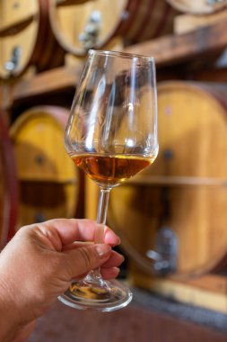 Eski büyük meşe fıçılarıyla şarap mahzeni ziyareti, el ele tutuşma, güçlendirilmiş kuru veya tatlı marsala şarabı Marsala, Sicilya, İtalya, şarap endüstrisi...