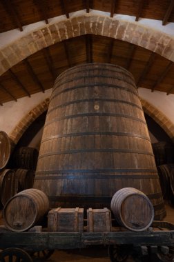 Eski büyük meşe fıçılarıyla şarap mahzeni ziyareti, Marsala, Sicilya 'da güçlendirilmiş kuru veya tatlı marsala şarabı üretimi, İtalya' da şarap endüstrisi