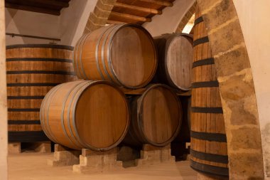 Eski büyük meşe fıçılarıyla şarap mahzeni ziyareti, Marsala, Sicilya 'da güçlendirilmiş kuru veya tatlı marsala şarabı üretimi, İtalya' da şarap endüstrisi