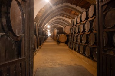 Eski büyük meşe fıçılarıyla şarap mahzeni ziyareti, Marsala, Sicilya 'da güçlendirilmiş kuru veya tatlı marsala şarabı üretimi, İtalya' da şarap endüstrisi