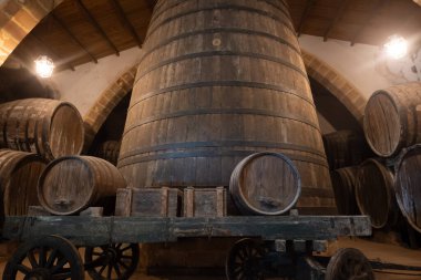 Eski büyük meşe fıçılarıyla şarap mahzeni ziyareti, Marsala, Sicilya 'da güçlendirilmiş kuru veya tatlı marsala şarabı üretimi, İtalya' da şarap endüstrisi