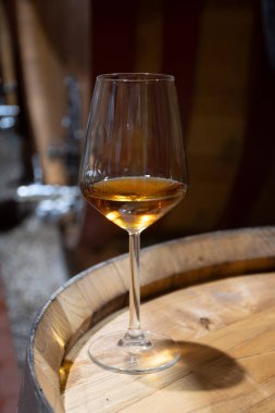 Eski büyük meşe fıçılarıyla şarap mahzenini ziyaret etmek, Marsala, Sicilya, İtalya ve şarap endüstrisindeki varillerden alınmış bir bardak güçlendirilmiş veya lezzetli marsala şarabı.