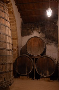 Eski büyük meşe fıçılarıyla şarap mahzeni ziyareti, Marsala, Sicilya 'da güçlendirilmiş kuru veya tatlı marsala şarabı üretimi, İtalya' da şarap endüstrisi