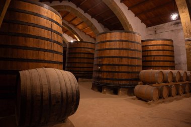 Eski büyük meşe fıçılarıyla şarap mahzeni ziyareti, Marsala, Sicilya 'da güçlendirilmiş kuru veya tatlı marsala şarabı üretimi, İtalya' da şarap endüstrisi