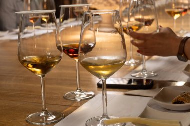 Eski büyük meşe fıçılarıyla şarap mahzeni ziyareti, güçlendirilmiş kuru veya tatlı marsala şarabı ile tatma bardakları Marsala, Sicilya, İtalya 'da şarap endüstrisi