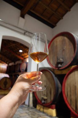 Eski büyük meşe fıçılarıyla şarap mahzenini ziyaret etmek, Marsala, Sicilya, İtalya ve şarap endüstrisindeki varillerden alınmış bir bardak güçlendirilmiş veya lezzetli marsala şarabı.