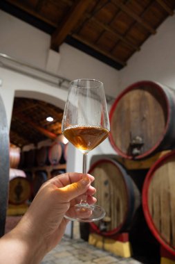 Eski büyük meşe fıçılarıyla şarap mahzenini ziyaret etmek, Marsala, Sicilya, İtalya ve şarap endüstrisindeki varillerden alınmış bir bardak güçlendirilmiş veya lezzetli marsala şarabı.
