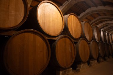 Eski büyük meşe fıçılarıyla şarap mahzeni ziyareti, Marsala, Sicilya 'da güçlendirilmiş kuru veya tatlı marsala şarabı üretimi, İtalya' da şarap endüstrisi