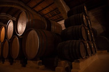 Eski büyük meşe fıçılarıyla şarap mahzeni ziyareti, Marsala, Sicilya 'da güçlendirilmiş kuru veya tatlı marsala şarabı üretimi, İtalya' da şarap endüstrisi