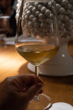 Eski büyük meşe fıçılarıyla şarap mahzeni ziyareti, güçlendirilmiş kuru veya tatlı marsala şarabı ile tatma bardakları Marsala, Sicilya, İtalya 'da şarap endüstrisi